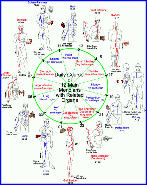 Illustration of the Meridian fields used in Acupuncture and Alternative Medicine