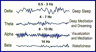 The four levels of brain wave states are shown in this illustration